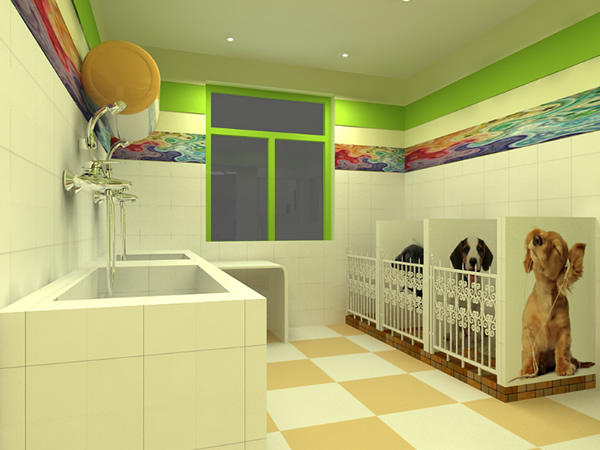 寵物店店鋪如何裝修設計